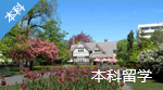 新西蘭