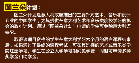 圖蘭朵計劃
